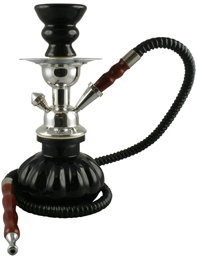 Pumpkin Style 10" Hookah with 1 Hose, Front View on Seamless White Background