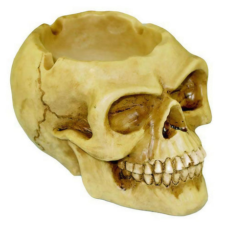 White Scary Skull Ashtray, 3" Polyresin, Top View on Seamless White Background