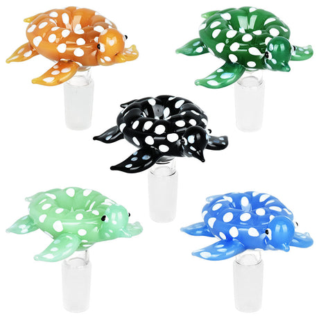 Assorted Colors Sea Turtle Herb Slide Set, 5PC with 14mm Male Joint, Top View