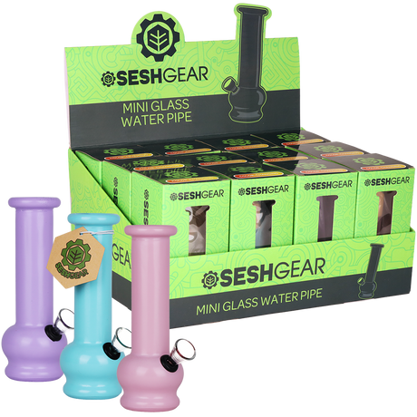 SeshGear Boxed Water Pipe | 5.75" | 12ct Display