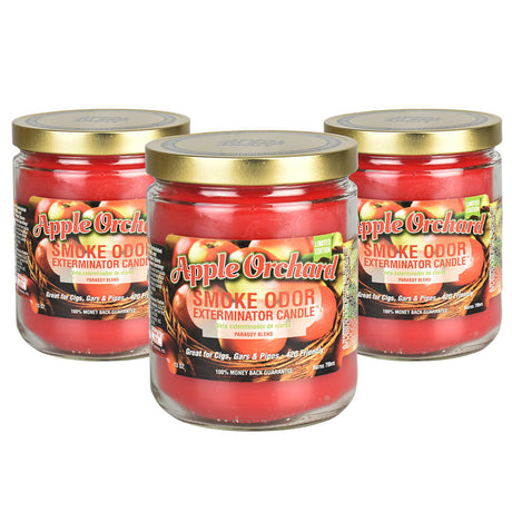 Apple Orchard Smoke Odor Exterminator Candle 13oz, 12pc box front view on white background