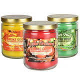 Assorted Smoke Odor Exterminator Candles, 13oz, in a 12pc Box, front view