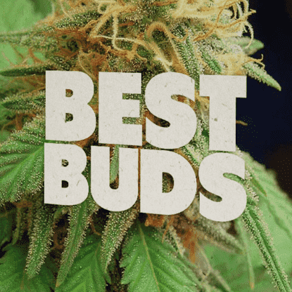 StonerDays Best Buds Hemp Greeting Card featuring cannabis imagery, perfect novelty gift