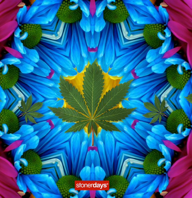 StonerDays 8" Blue & Purple Kaleidoscope Dab Mat with Cannabis Leaf Design