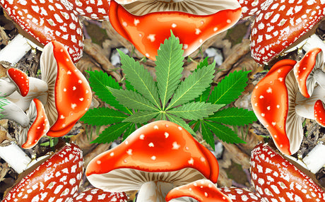 StonerDays Good Trip Dab Mat with psychedelic mushroom and cannabis leaf design, 8" diameter