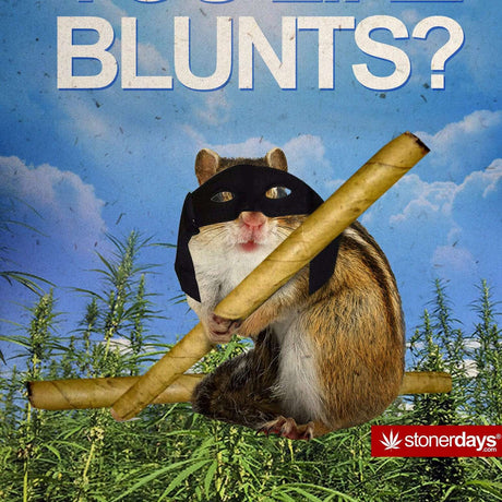 StonerDays Hemp Card featuring a humorous chipmunk with blunts, 5.5" x 8.5" novelty gift