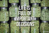 StonerDays 8" Rubber Dab Mat with 'Life Is Full Of Important Decisions' print for Bongs
