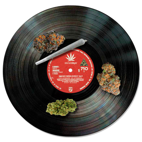 StonerDays LP Vinyl Record Dab Mat, 8" Diameter, for Bongs & Concentrates