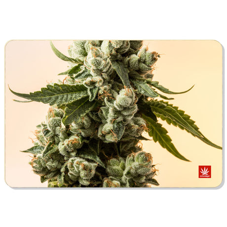 StonerDays Macro Dab Mat featuring a close-up cannabis plant design, 12" x 8" with rubber base