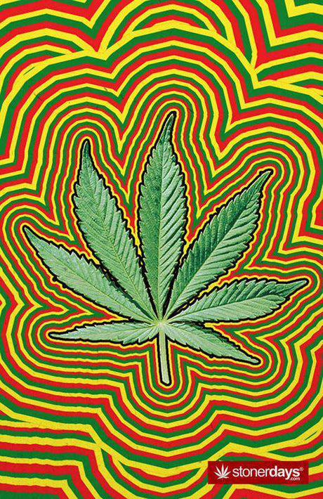 StonerDays Rasta Leaf Hemp Cards featuring vibrant red, yellow, and green design, size 8.5" x 5.5"