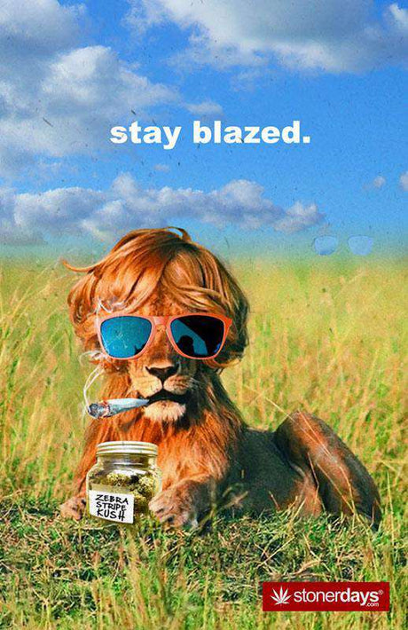 StonerDays Stay Blazed Lion Hemp Cards featuring cool lion with sunglasses and jar