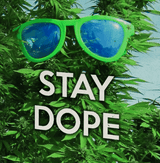 StonerDays Stay Dope Card featuring hemp leaf design and green sunglasses, perfect novelty gift
