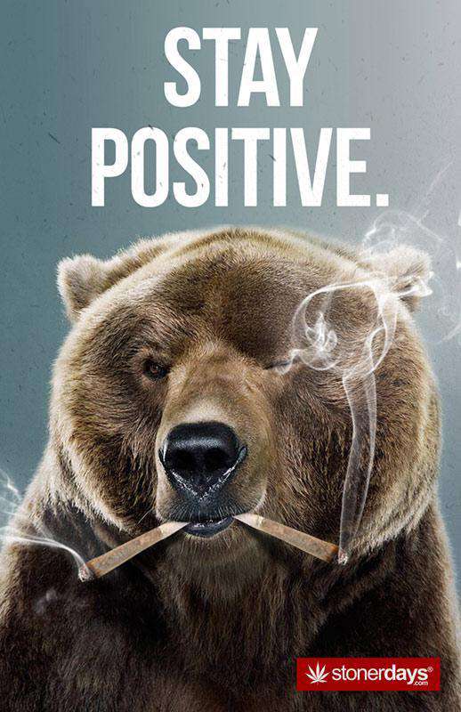 STAY POSITIVE BEAR HEMP CARDS