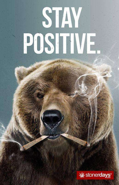 StonerDays Stay Positive Bear Hemp Cards front view, eco-friendly 8.5" x 5.5" novelty gift