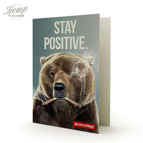 STAY POSITIVE BEAR HEMP CARDS