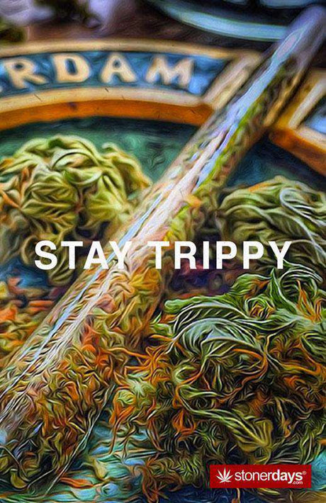 StonerDays Stay Trippy Hemp Cards featuring vibrant, psychedelic artwork, size 8.5" x 5.5"