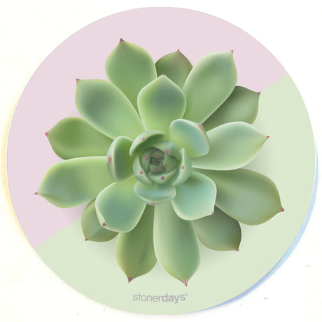 StonerDays Succulent Greens Dab Mat, 8" round, polyester and rubber, top view