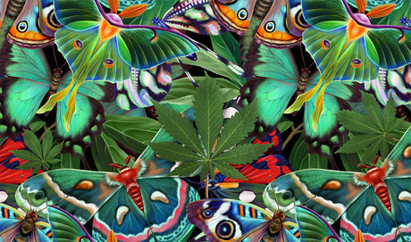 StonerDays Trippy Butterflies 8" Dab Mat with vibrant green psychedelic design, top view