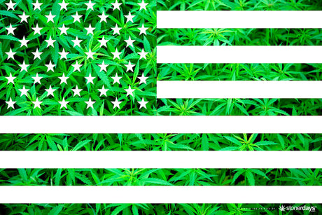 StonerDays USA flag-themed green dab mat with cannabis leaf design and rubber base