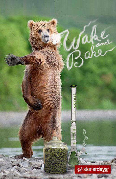 StonerDays Wake And Bake Bear illustration on Hemp Cards, Novelty Gift