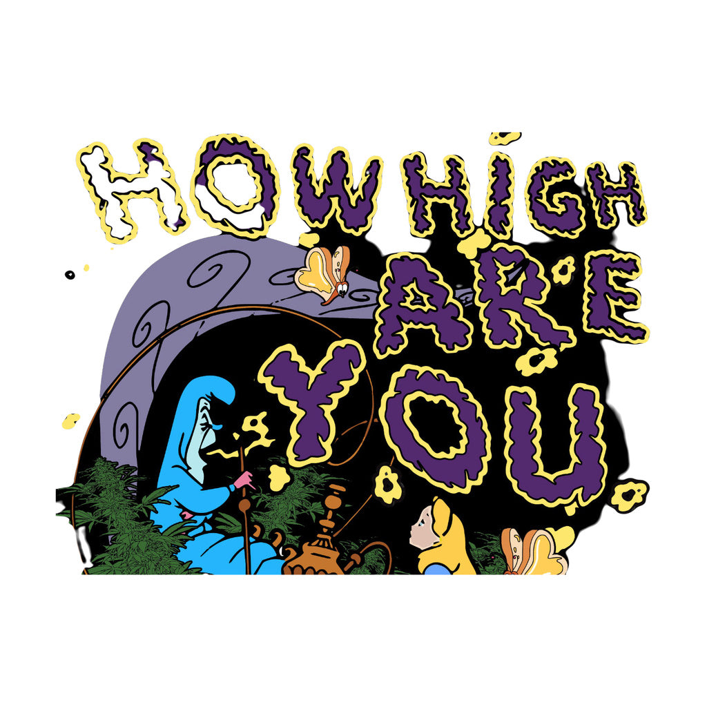 StonerDays 'How High Are You' graphic on black crop top hoodie with whimsical design