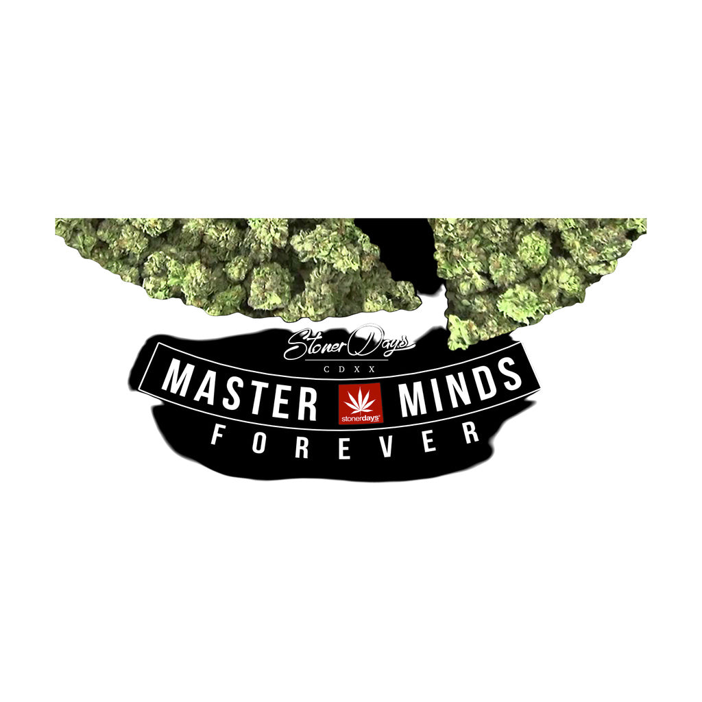 StonerDays Wu Tang men's t-shirt with 'MASTER MINDS FOREVER' graphic on black background
