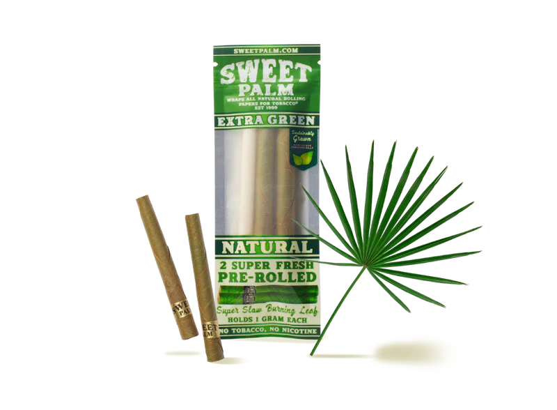do tobacco plants flower How to Grow and Care for Flowering Tobacco do tobacco plants flower How to Grow and Care for Flowering Tobacco