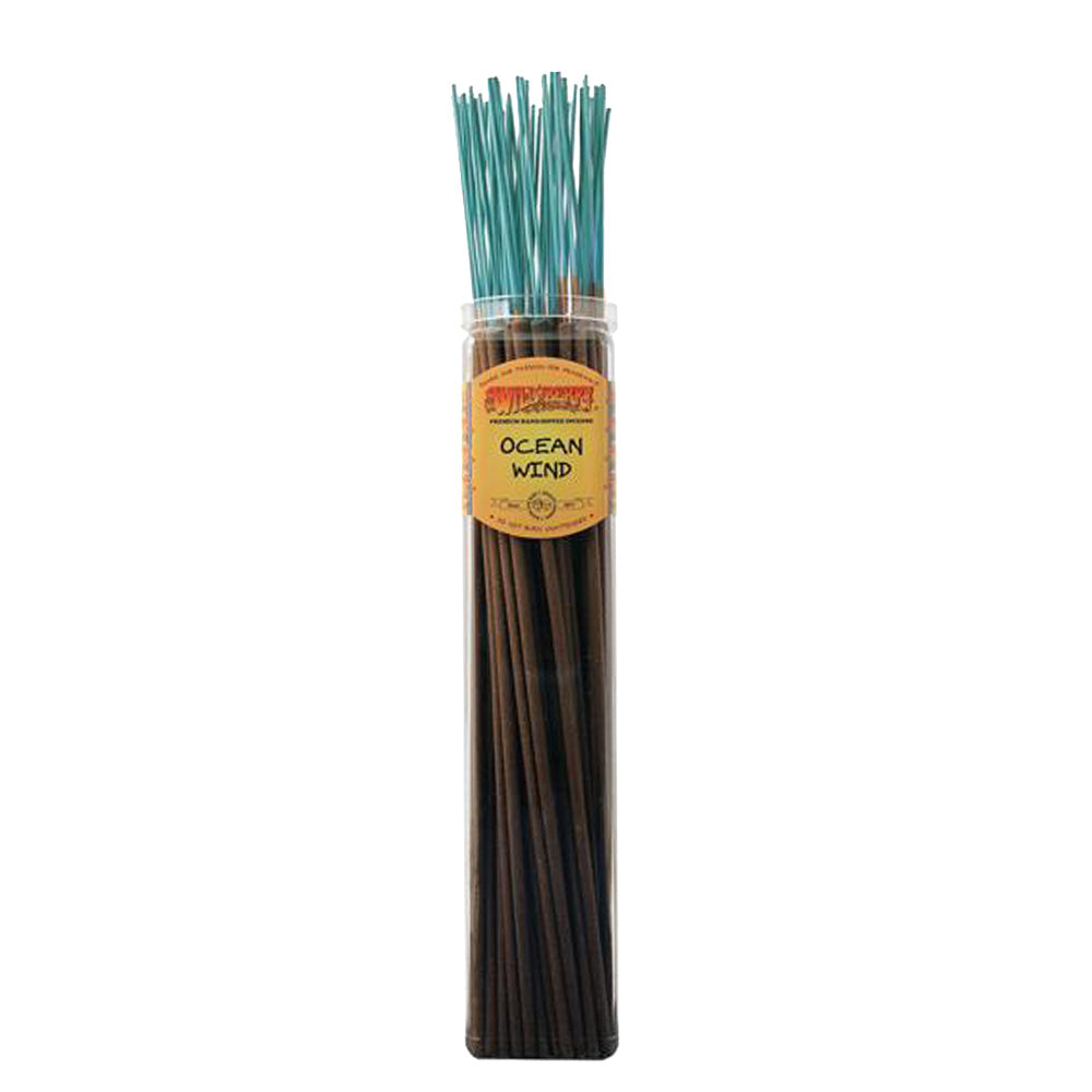 Wild Berry 'Biggies' Incense Sticks, 50 Pack, Ocean Wind scent, displayed vertically against a white background