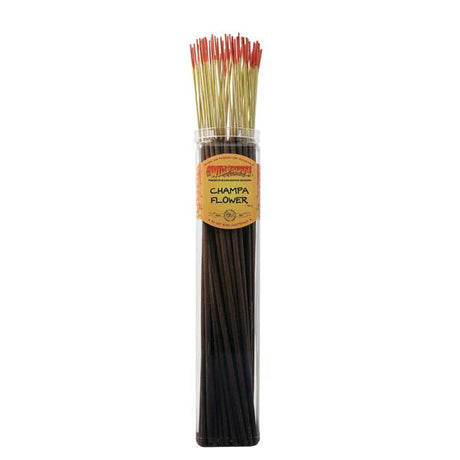 Wild Berry Biggies Incense Sticks bundle of 50, Champa Flower scent, front view on white background