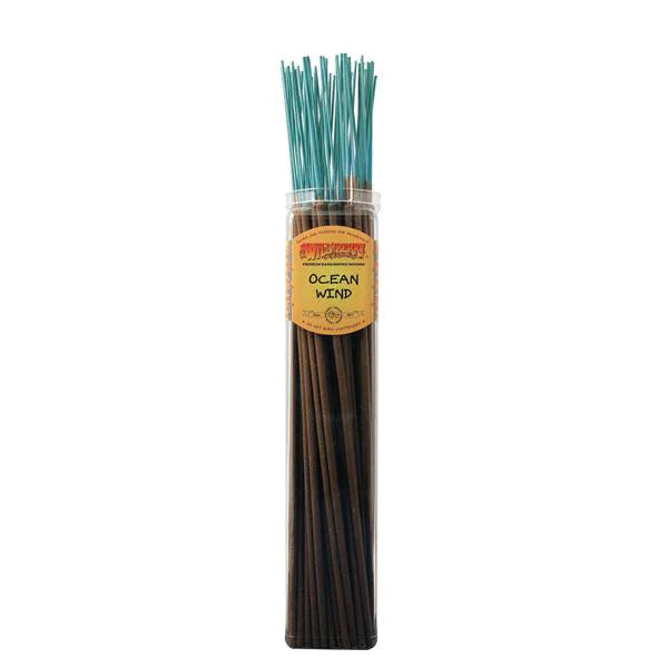 Wild Berry Biggies Incense Sticks Ocean Wind, 50-pack, front view on white background