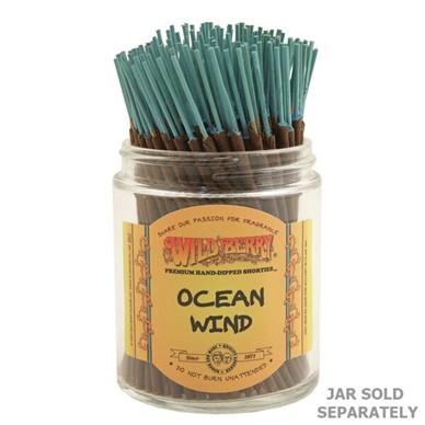 Wild Berry Incense Shorties Bundle, Ocean Wind scent, 4" sticks in clear jar, USA made
