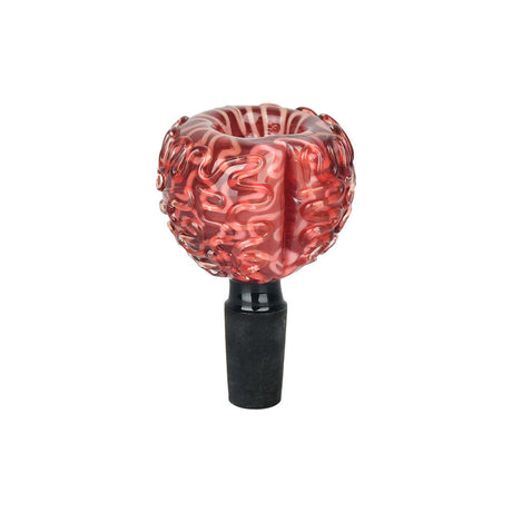 14mm Male Borosilicate Glass Brain Design Herb Slide for Bongs, Front View on White Background