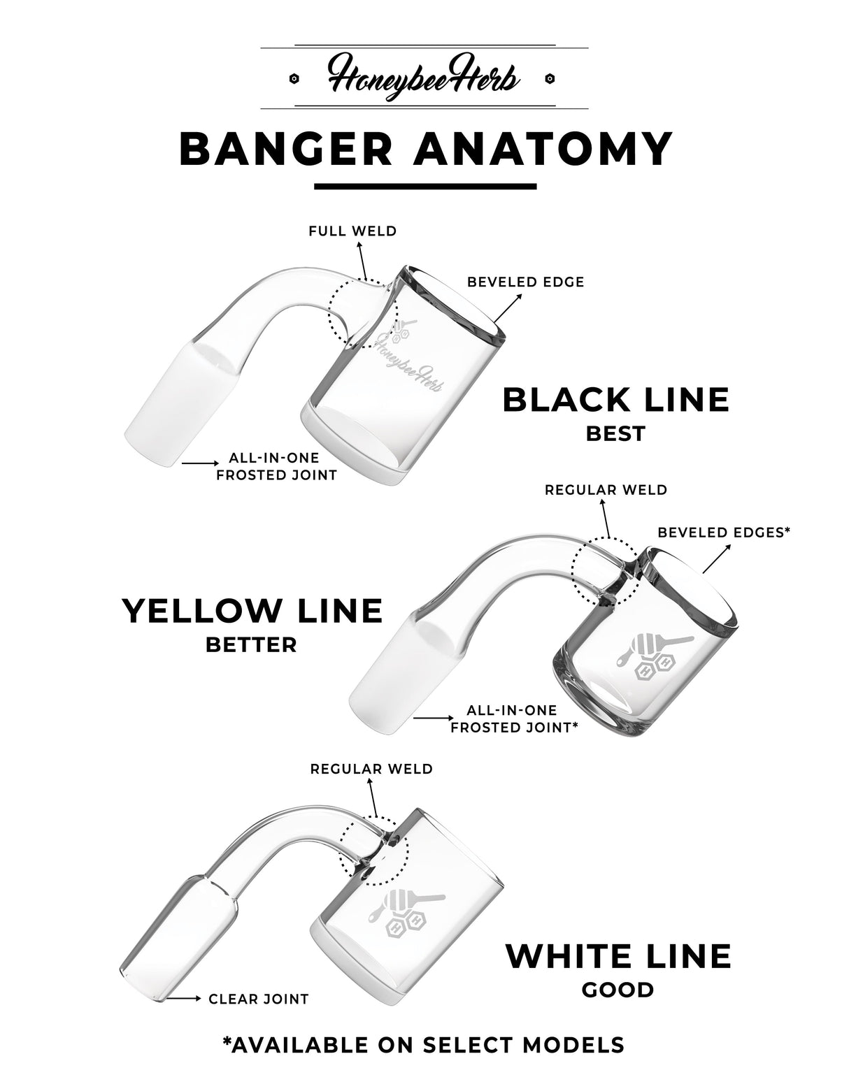 Honeybee Herb Banger Anatomy Diagram showing 45° Bevel Splash Bucket variants for dab rigs.