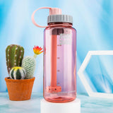 PILOT DIARY POTO Water Bottle Bong in Pink - Front View with Cactus Background