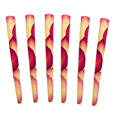 6 Malibu Rose Petal King Cones by PETALS, front view on white background