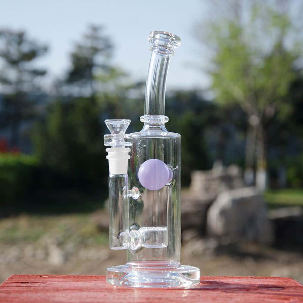 Calibear 8" Clear Straight Can Bong with Flower of Life Percolator, 90 Degree Joint, and Quartz Banger