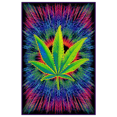 Canna Vibes Non-Flocked Blacklight Poster featuring a vibrant UV reactive cannabis leaf design, size 24" x 36"