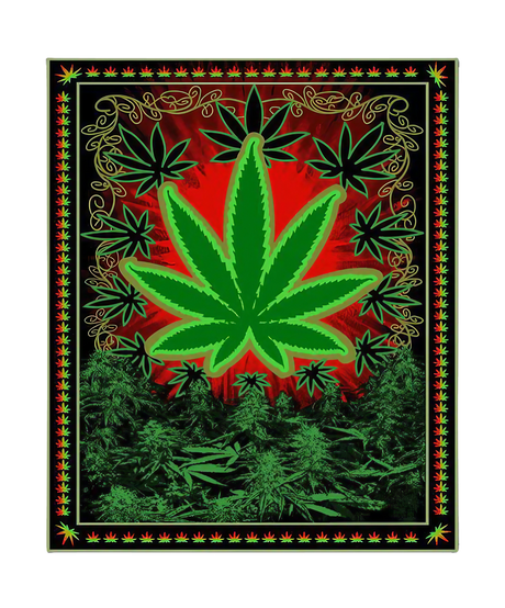Chicko Leaf Plush Fleece Blanket with vibrant green cannabis leaf design on red background