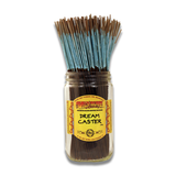 Wild Berry Dream Caster Incense Sticks - 100 Pack in a clear jar, front view on white background