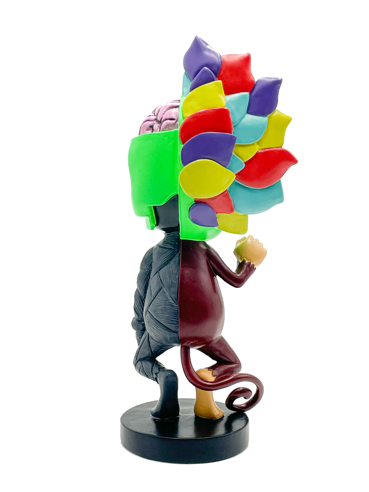 Limited Edition AFM Skeletal Figure - 12" Side View on Stand, Colorful Novelty Home Decor