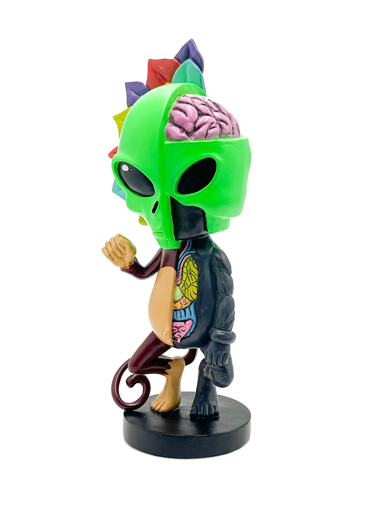 AFM Limited Edition 12" Skeletal Figure in vibrant colors, perfect for home decor and novelty gift.