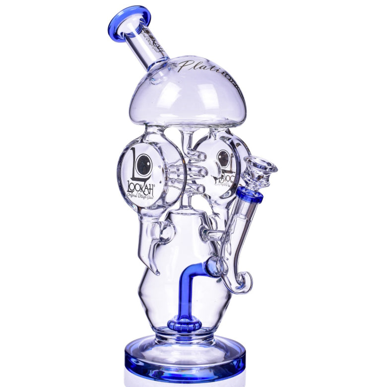 Lookah Glass Aroma Dome Water Pipe in Borosilicate with Recycler Design