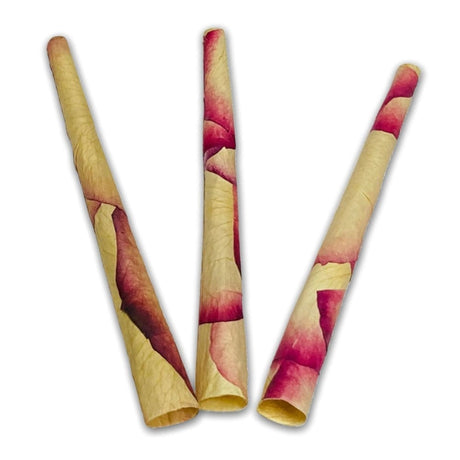 CaliGreenGold Malibu Rose Petal King Cones 3-pack on white background