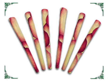 CaliGreenGold Malibu Rose Petal King Cones 6-pack on white background, perfect for luxury smoking