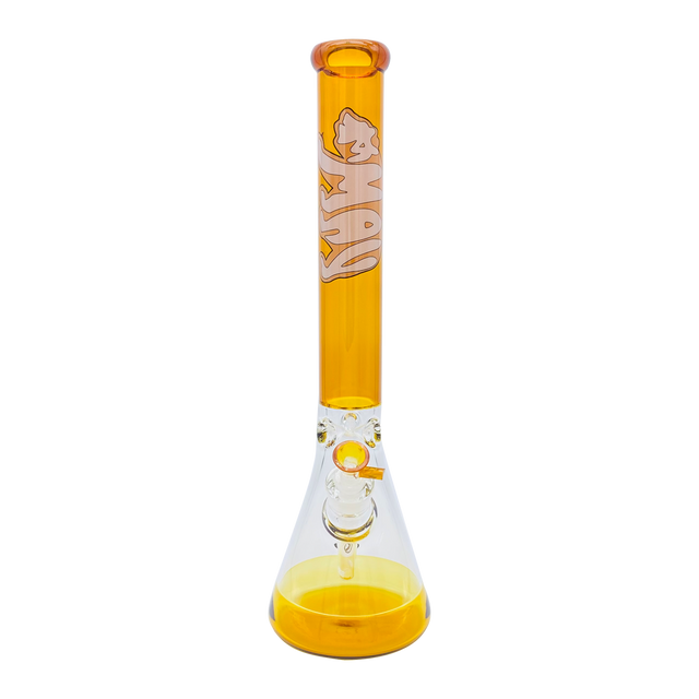 MAV Glass 18" Golden Cali Bear Beaker Bong with 50mm diameter and 5mm thickness, front view