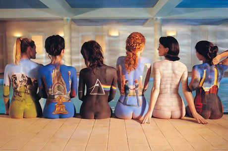 Pink Floyd Painted Backs Poster featuring iconic album art for wall decor, size 36" x 24"