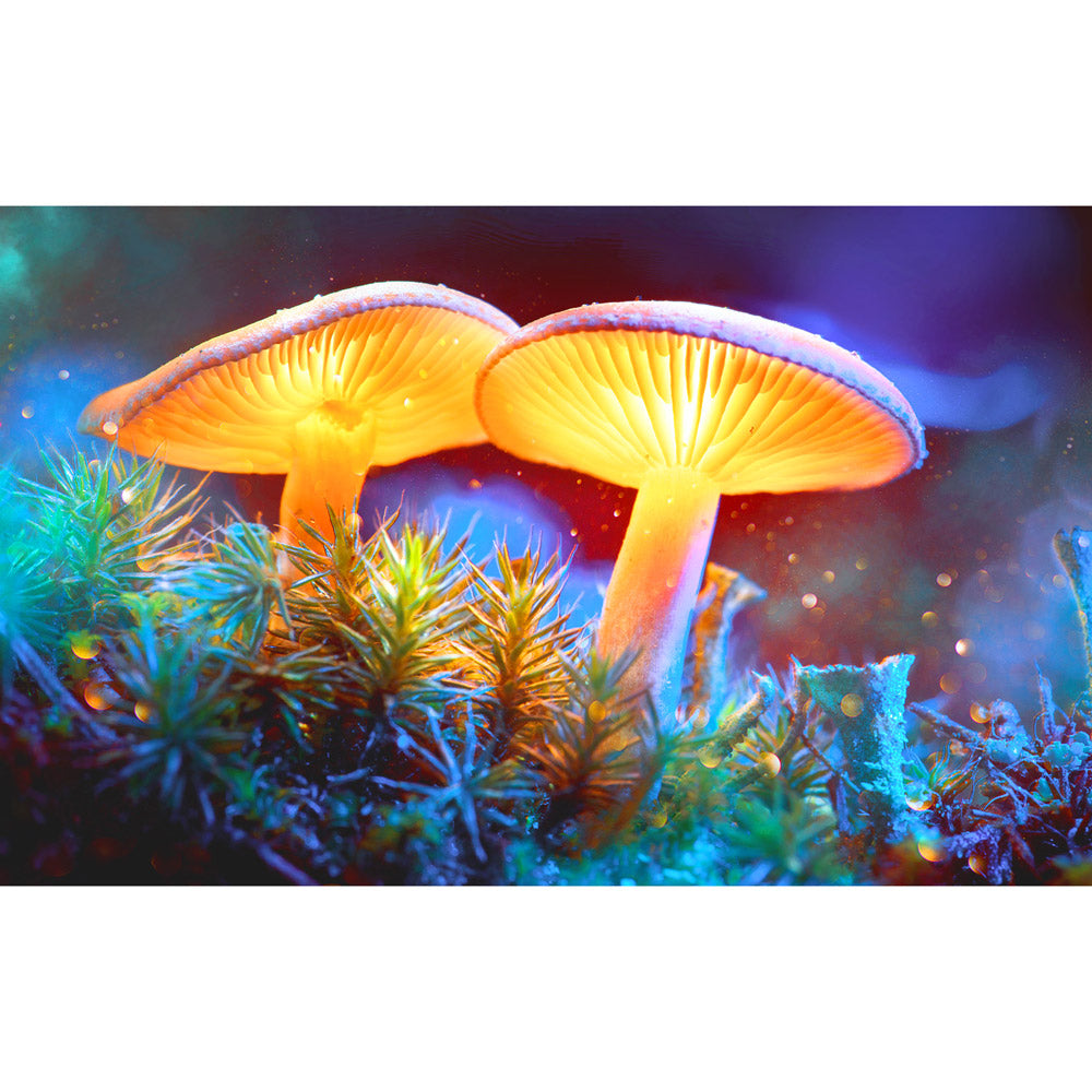Pulsar Mystical Mushrooms Tapestry, 55" x 83", vibrant colors on cotton fabric, home decor