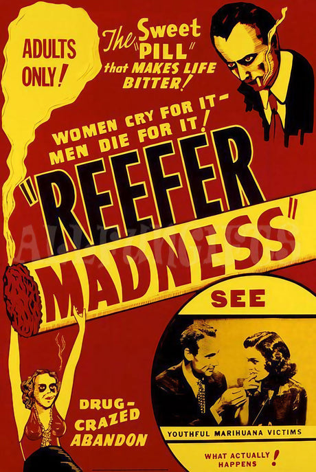 Vintage Reefer Madness Poster, 24" x 36", Retro Home Decor Wall Art
