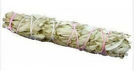 Small White Sage Bundle for Home Decor, 4.5" Size, Tied with Pink String - Top View