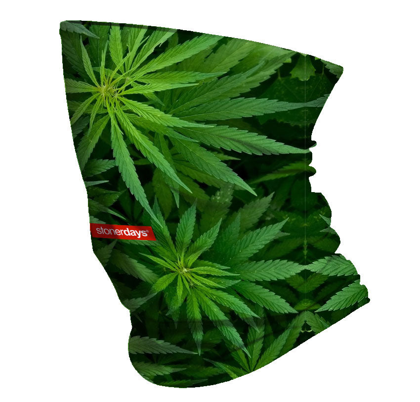 StonerDays Neck Gaiter featuring vibrant cannabis leaf print, made of stretchy polyester
